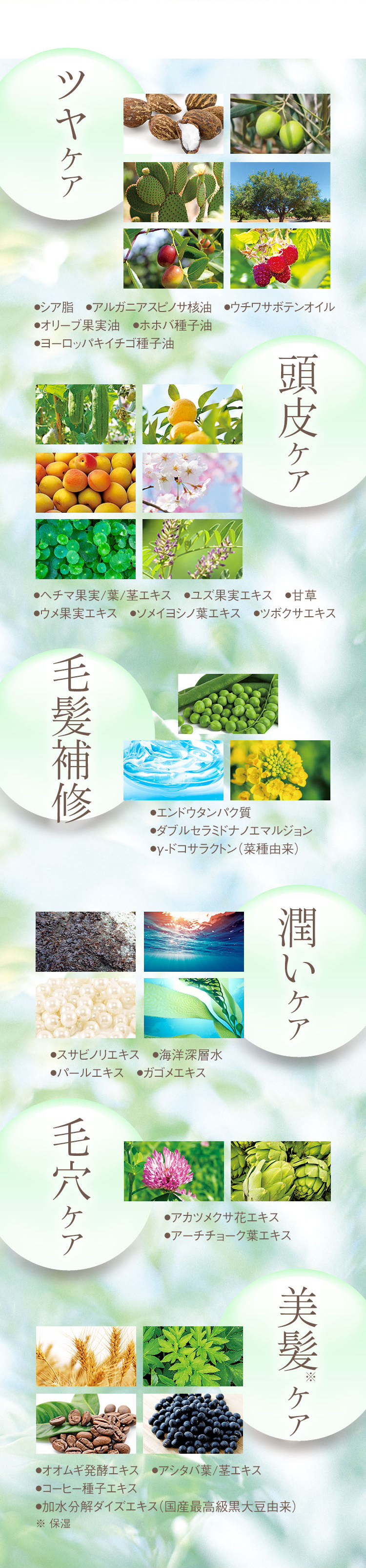 ツヤケア ●シア脂 ●アルガニアスピノサ核油 ●ウチワサボテンオイル ●オリーブ果実油 ●ホホバ種子油 ●ヨーロッパキイチゴ種子油
頭皮ケア ●ヘチマ果実/葉/茎エキス ●ユズ果実エキス ●甘草 ●ウメ果実エキス ●ソメイヨシノ葉エキス ●ツボクサエキス
毛髪補修 ●エンドウタンパク質 ●ダブルセラミドナノエマルジョン ●γ-ドコサラクトン（菜種由来）
潤いケア ●スサビノリエキス ●海洋深層水 ●パールエキス ●ガゴメエキス
毛穴ケア ●アカツメクサ花エキス ●アーチチョーク葉エキス
美髪※ケア ●オオムギ発酵エキス ●アシタバ葉/茎エキス ●コーヒー種子エキス ●加水分解ダイズエキス（国産最高級黒大豆由来） ※ 保湿
