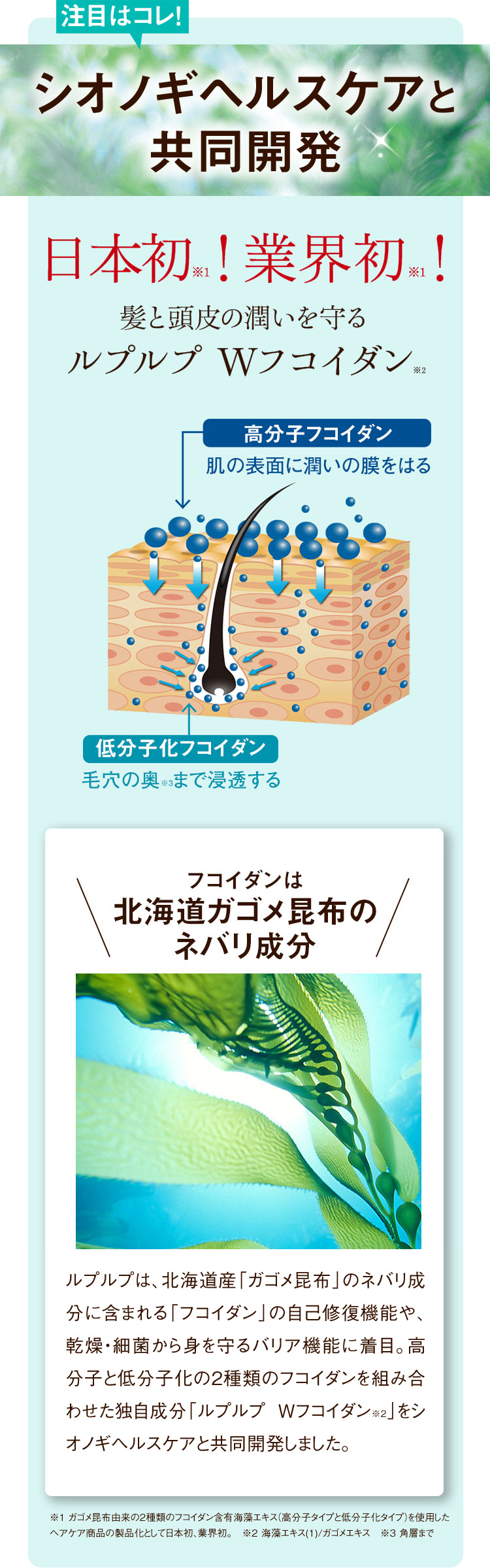 注目はコレ！ シオノギヘルスケアと共同開発
日本初※1！ 業界初※1！ 髪と頭皮の潤いを守るルプルプWフコイダン※2
高分子フコイダン 肌の表面に潤いの膜をはる 低分子フコイダン 毛穴の置く※3まで浸透する
フコイダンは北海道ガゴメ昆布のネバリ成分
ルプルプは、北海道産「ガゴメ昆布」のネバリ成分に含まれる「フコイダン」の自己修復機能や、乾燥・細菌から身を守るバリア機能に着目。高分子と低分子化の2種類のフコイダンを組み合わせた独自成分「ルプルプ Wフコイダン※2」をシオノギヘルスケアと共同開発しました。※1 ガゴメ昆布由来の2種類のフコイダン含有海藻エキス(高分子タイプと低分子化タイプ)を使用したヘアケア商品の製品化として日本初、業界初。 ※2 海藻エキス(1)/ガゴメエキス ※3 各層まで